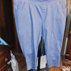 Blue Casual Pants